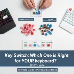 Key Switch: Which One is Right for YOUR Keyboard? [2026 Guide]